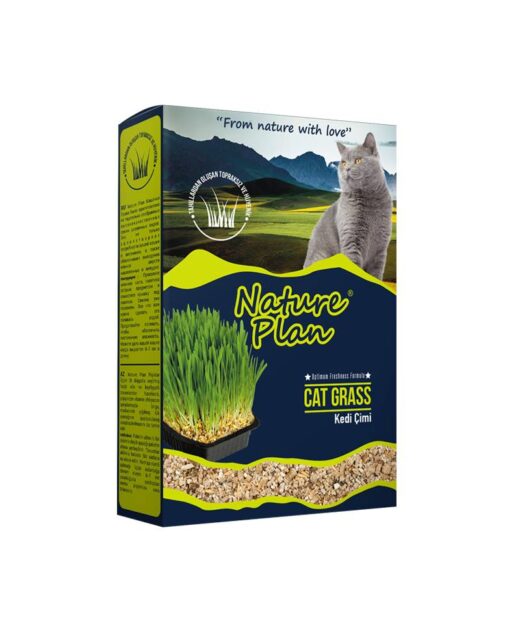 Nature Plan herbe à chats