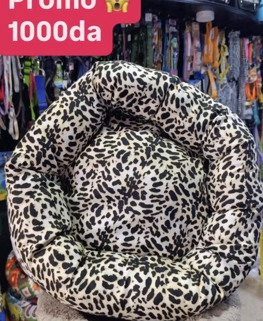 COUSSIN CHAT CAZANIMO Promo