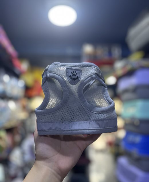 Harnais pour chat et petit chien